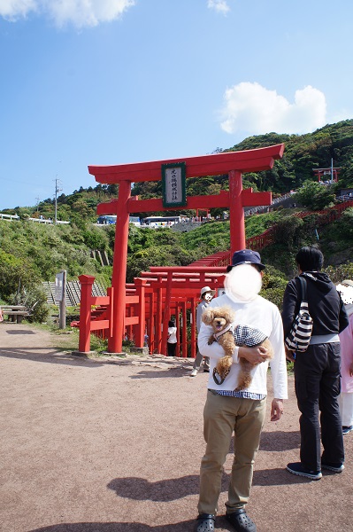 ペットとお出かけ 山口県長門市 元乃隅稲荷神社 Flower Arrangement Design Ka Ren