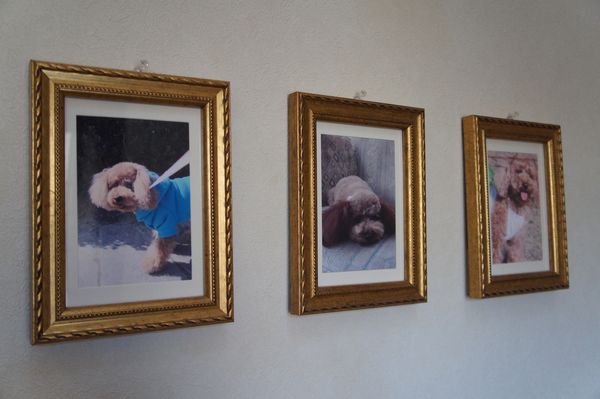 120216pppp.JPG