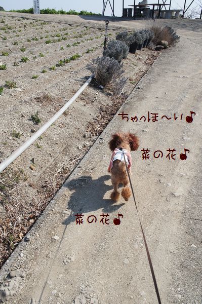 120305p.JPG