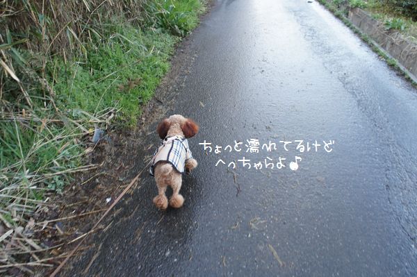 120404pppp.JPG