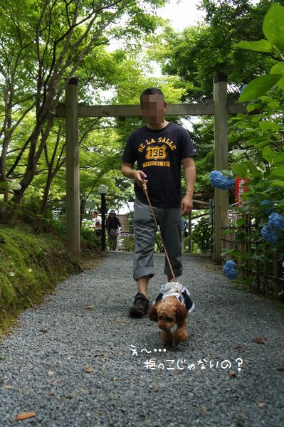 120627pp.JPG