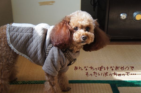 131121ppppp.JPG