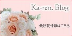 Karen Blog
