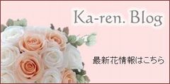 Karen Blog